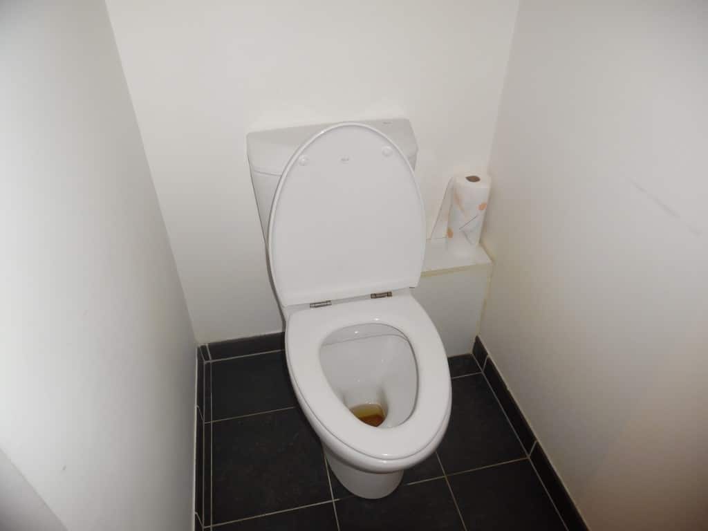 WC avant travaux, Rénovation appartement quartier Anatole France LEVALLOIS PERRET 92300 de 67 m2
